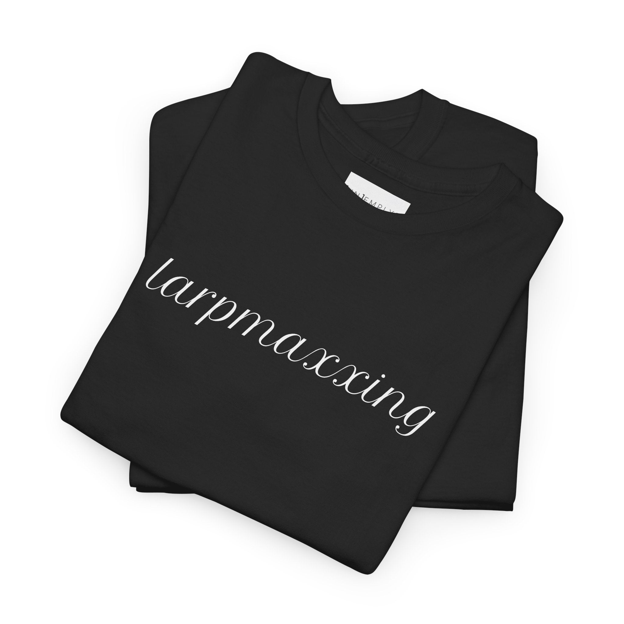 Larpmaxxing Tee